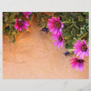 Search for frame flyers Floral