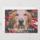 Search for happy pawlidays christmas cards Whimsical