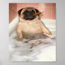 Search for bubble bath posters Cute