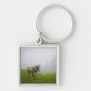 Search for looking front key rings Rural scene