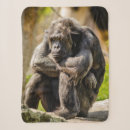 Search for gorilla blankets Animals