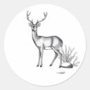 Search for shrubs stickers Nature