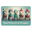 Search for llama magnets Cute