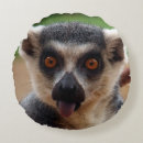 Search for lemur cushions Cute