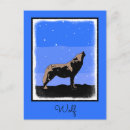 Search for winter snow wolf postcards Alaska