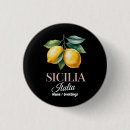 Search for sicily badges Flag