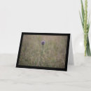 Search for leek Allium