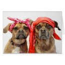 Search for puggle postcards Puppy