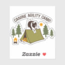 Search for agility electronics Border collie