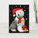 Search for old english sheepdog cards Dogs