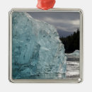Search for in the wilderness christmas tree decorations Sunny