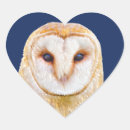 Search for owl with heart stickers Bird