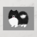 Search for black pomeranian dog postcards Cute