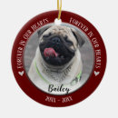 Search for lovely christmas tree decorations Cat