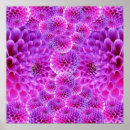 Search for pom pom posters Floral
