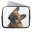 Search for studio shot cases Close up