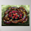 Search for constrictor art Snake