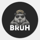 Search for chinese girl stickers Meme