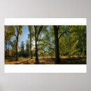 Search for tree line posters Autumn