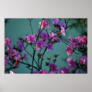 Search for azalea art Floral