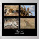 Search for serengeti posters Kenya