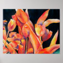 Search for orange tulip posters Garden