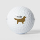 Search for golden retriever golf balls Silhouette