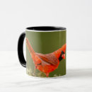 Search for gordon mugs Bird