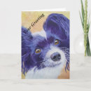 Search for papillon cards White