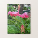 Search for camouflage puzzles Pink