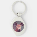 Search for key rings postcards Deer