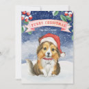 Search for furry christmas cards Puppy