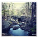 Search for arch bridge Nature
