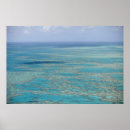 Search for tropical reef posters Travel