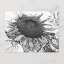 Search for vintage black and white postcards Country