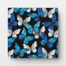 Search for insect plaques Black