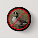 Search for jerking badges Rude