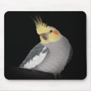 Search for cockatiel mousepads Parrot