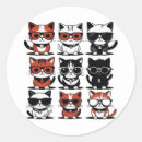 Search for cute kitty cat stickers Funny
