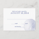 Search for sand dollar Seaside