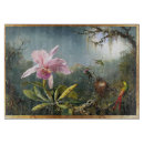 Search for rain forest Flowers