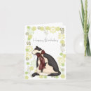 Search for black and white cat birthday cards Kitty