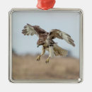 Search for hawk christmas tree decorations Birds of prey