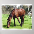 Search for beautiful white horse art Equestrian