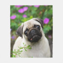 Search for pug blankets Puppy