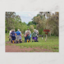 Search for galapagos islands postcards Giant tortoise