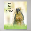 Search for funny squirrel posters Nature
