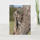 Search for larry ditto cards Danita delimont