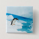 Search for gentoo penguin badges Wildlife