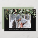 Search for winter berries christmas cards Pine